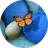 quanchancuu2606