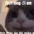 Duc0902525010