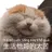 Hieudzzzzz