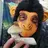 Hanshroom.920