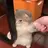 scuttle