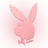 juncomchien
