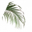 HaHiHu