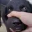 NHINTAONE