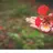ilikeyoudeptrai