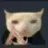 socolakitkat