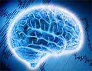 brain1381.jpg