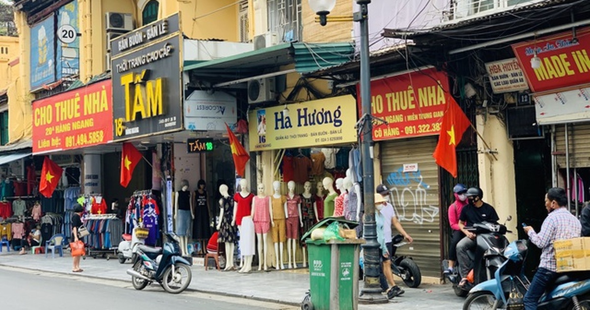 dantri.com.vn