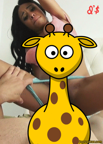 gif-giraffe-nsfw-porn-1857956.gif