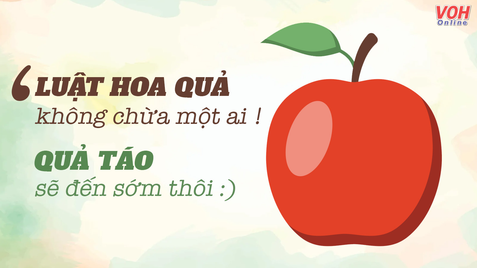 luat-qua-tao-la-gi-voh-19.jpg