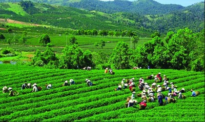 nongnghiepnhatban.com.vn