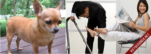 forum.vietdesigner.net