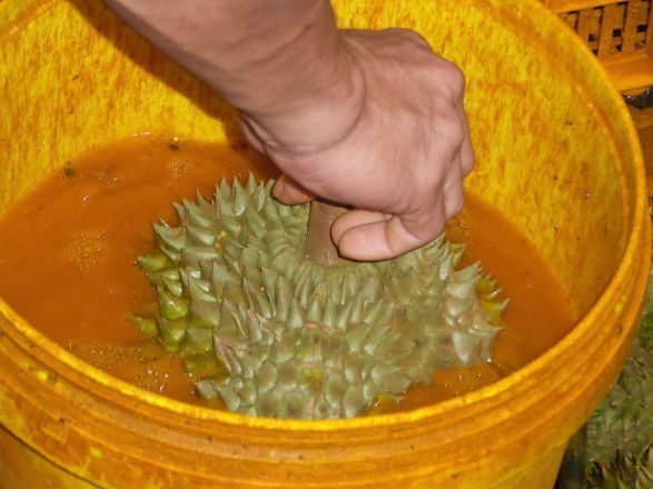 Cái chết rình rập: Người Việt hại nhau vì tiền Cái chết rình rập: Người Việt hại nhau vì tiền